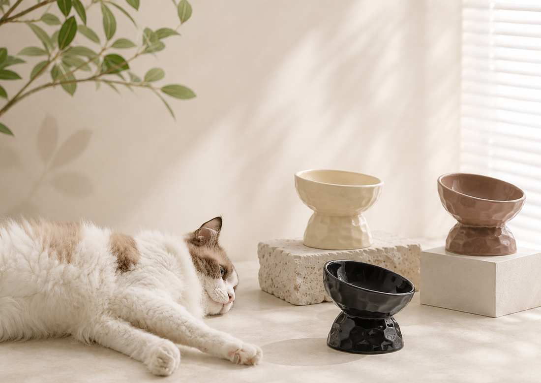 Ceramic vs Stainless Steel Cat Bowls