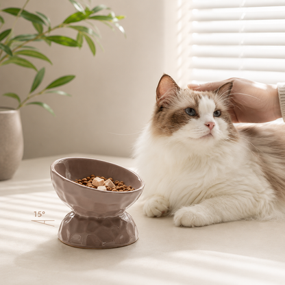Norumi Ceramic Bowl™