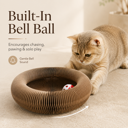 Norumi Loop Scratcher™